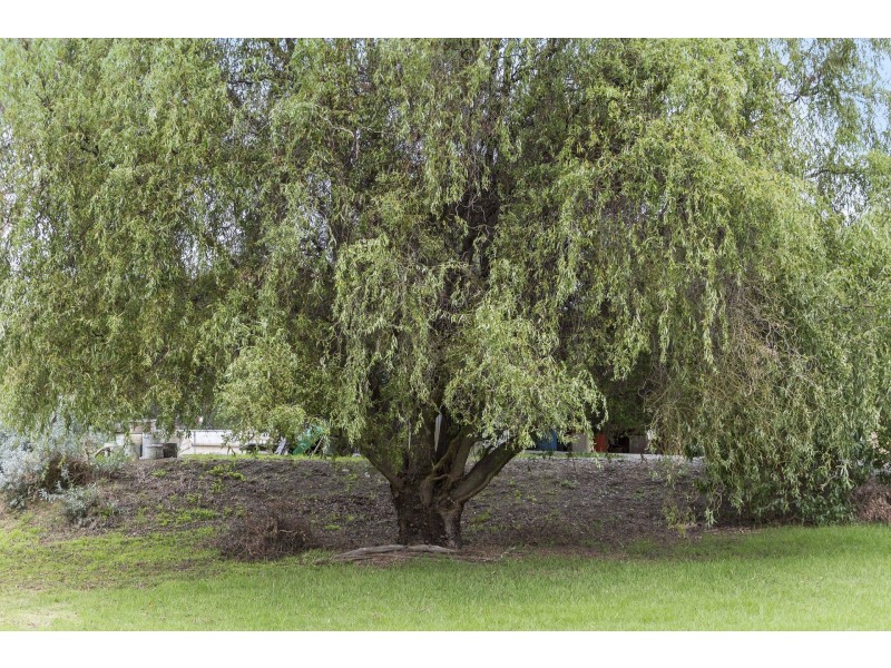 3015 Frankston Flinders Rd, Balnarring VIC 3926