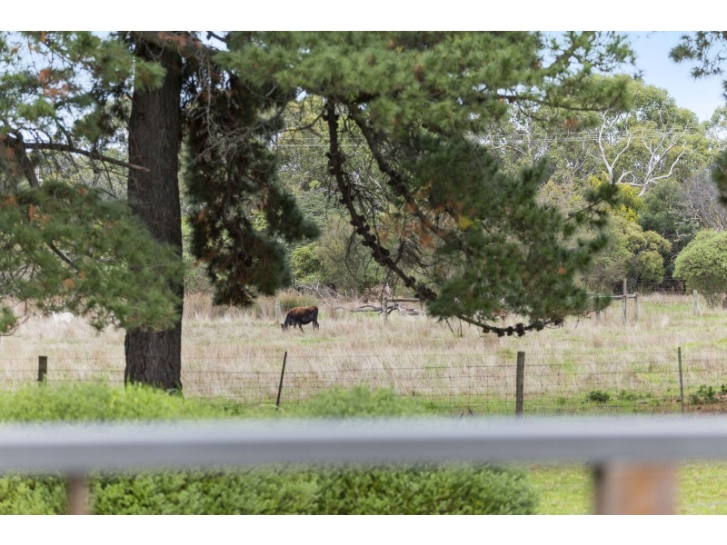 3015 Frankston Flinders Rd, Balnarring VIC 3926