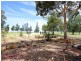 99 Long Point Road, Singleton NSW 2330