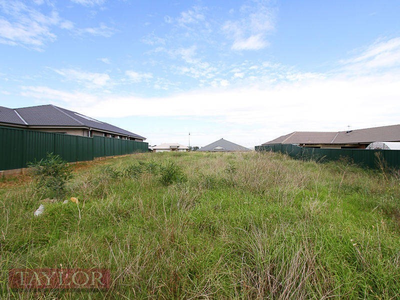 58 Dixon Circuit, Muswellbrook NSW 2333