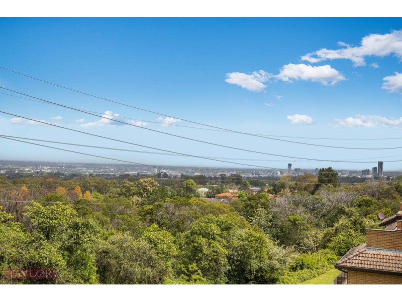 29/344 Pennant Hills Road, Carlingford NSW 2118