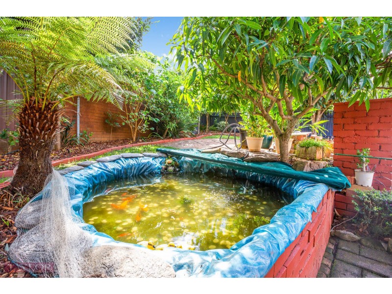 20 Jason Place, North Rocks NSW 2151