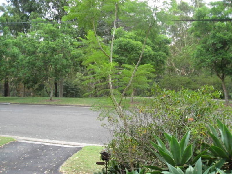 42 Rockfarm Avenue, Dundas NSW 2117