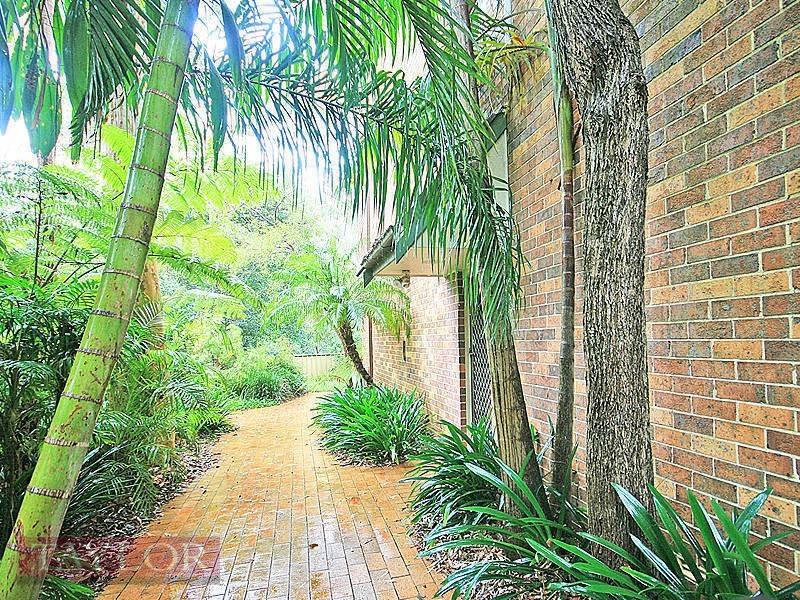 16 Robert Street, Telopea NSW 2117