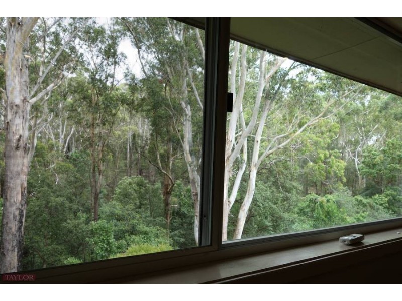 16 Robert Street, Telopea NSW 2117