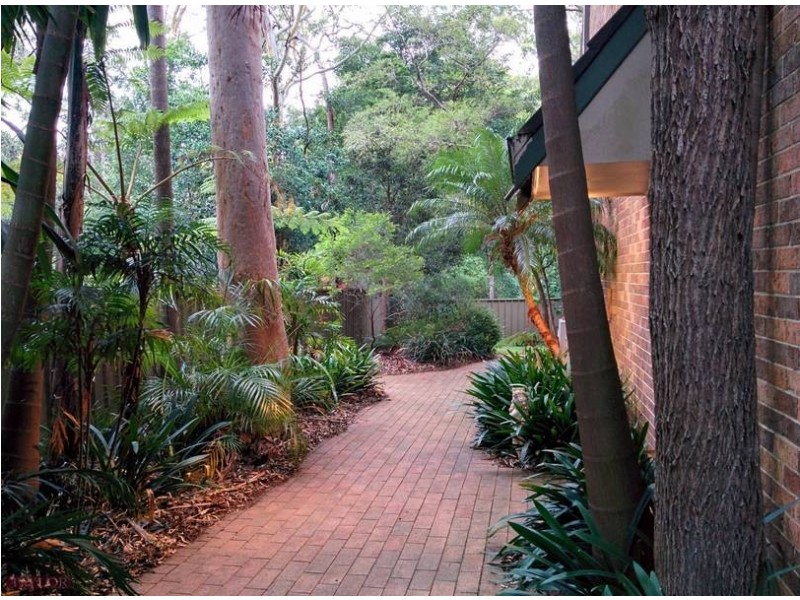 16 Robert Street, Telopea NSW 2117