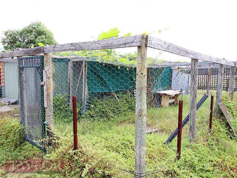 471 Milbrodale Road, Broke NSW 2330