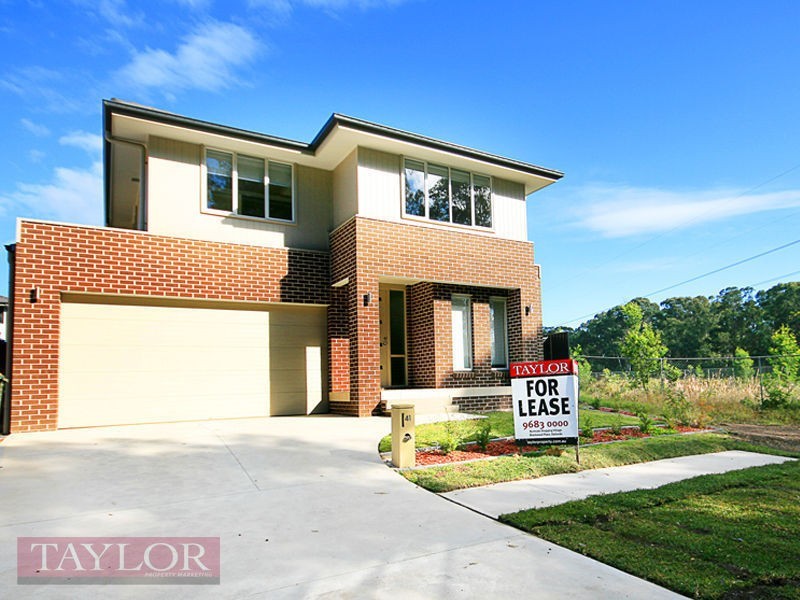 41 Grantham Street, Riverstone NSW 2765