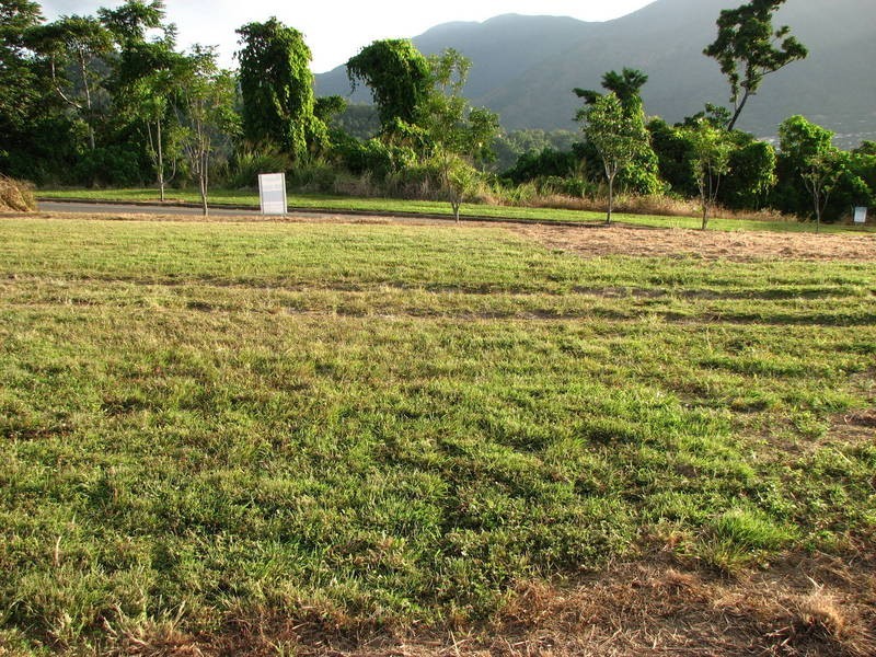 Lot 307, THE PEAK, Brinsmead QLD 4870