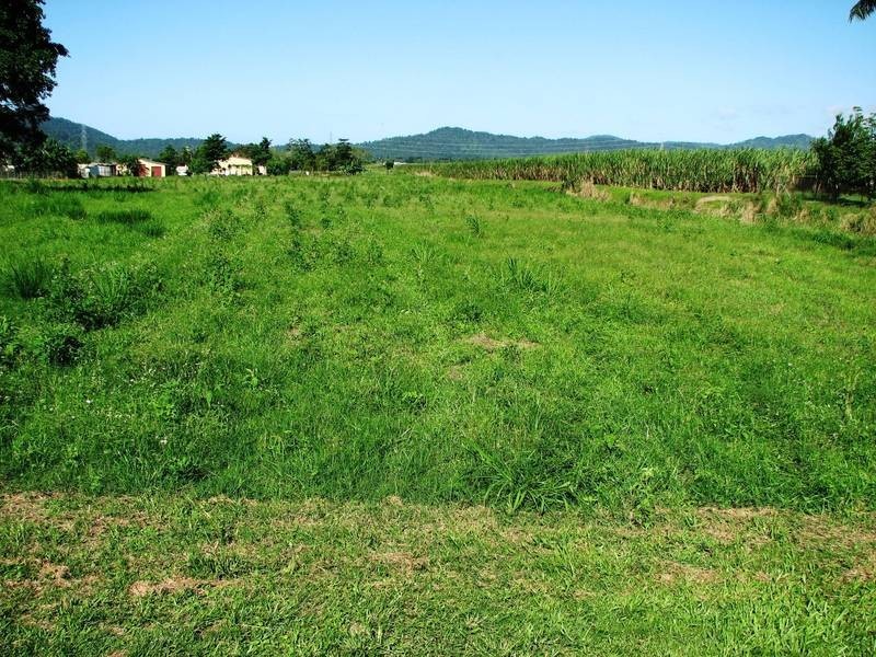 209 Howard Kennedy Drive, Babinda QLD 4861