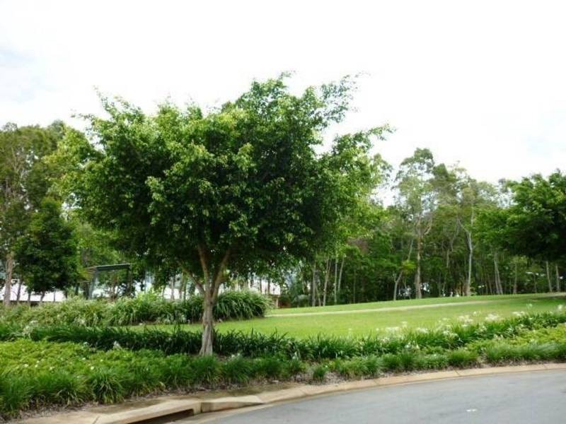 37 Propeller Court, Trinity Beach QLD 4879