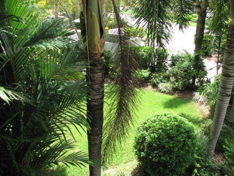 16/6 Faculty, Smithfield QLD 4878