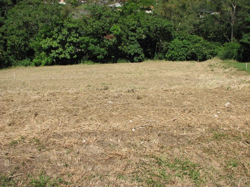 7 Springmeadows Close, Brinsmead QLD 4870