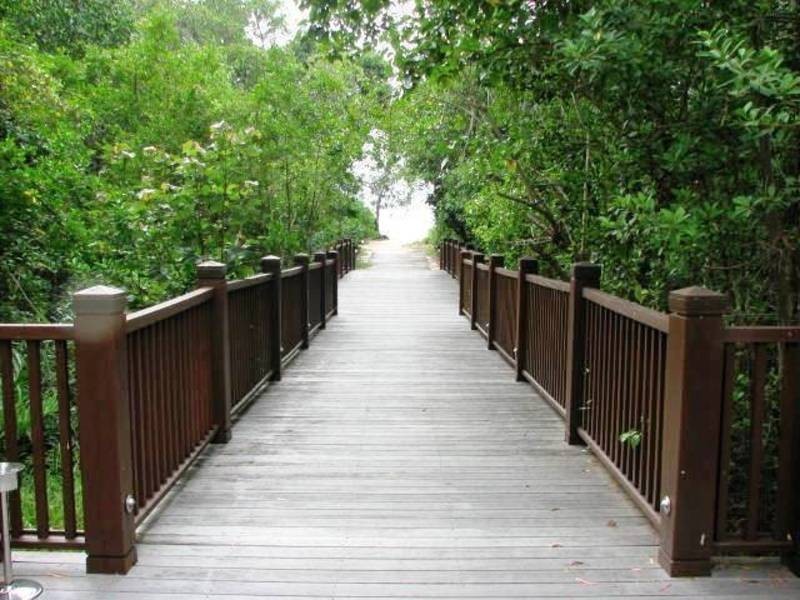 Lot 315, 320 AND 321/2 Triton Street, Palm Cove QLD 4879