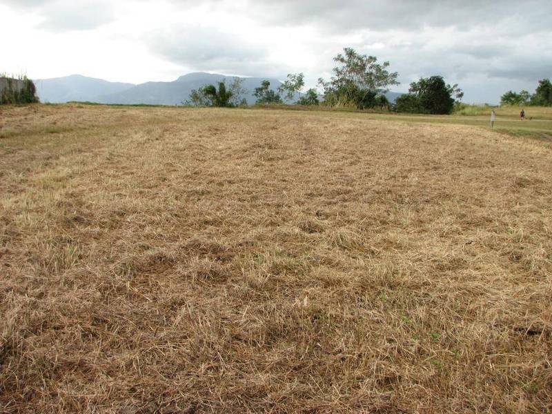 Lot 319, 72 The Peak Parkridge Estate, Brinsmead QLD 4870