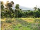 Lot 328, East Parkridge Drive, Brinsmead QLD 4870