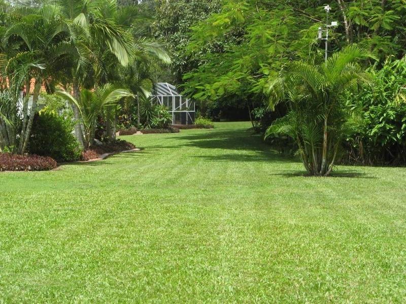 19 Stream Avenue, Kewarra Beach QLD 4879