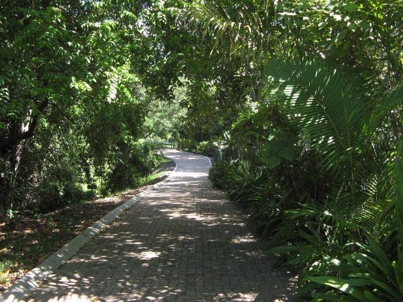 19 Stream Avenue, Kewarra Beach QLD 4879