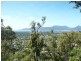 Lot 292, The Peak Park Ridge Estate, Brinsmead QLD 4870