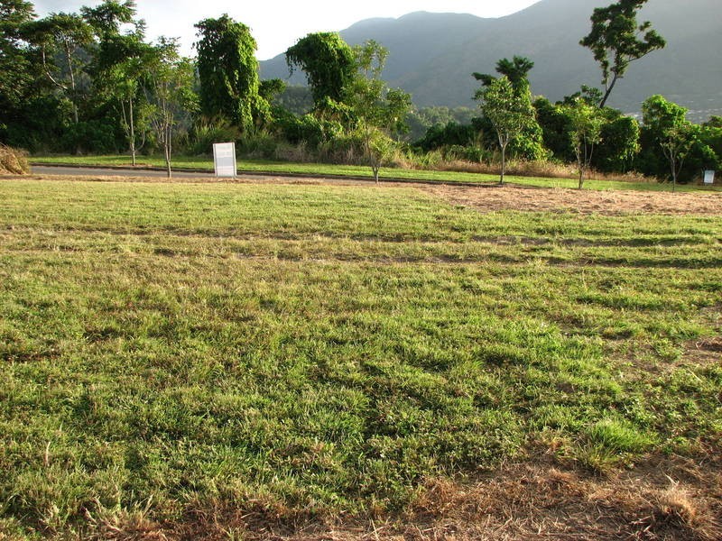 Lot 307, The Peak, Brinsmead QLD 4870