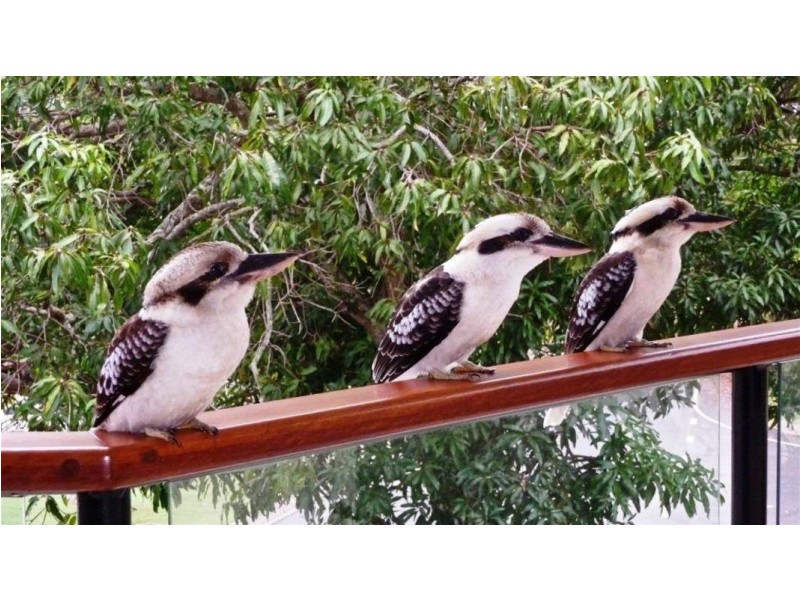 5/11 Rutherford Street, Yorkeys Knob QLD 4878