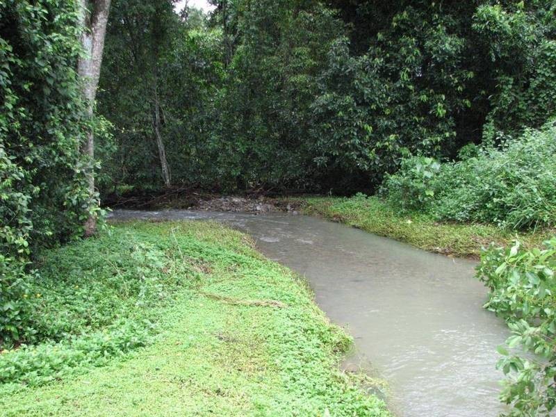 19 Stream Avenue, Kewarra Beach QLD 4879