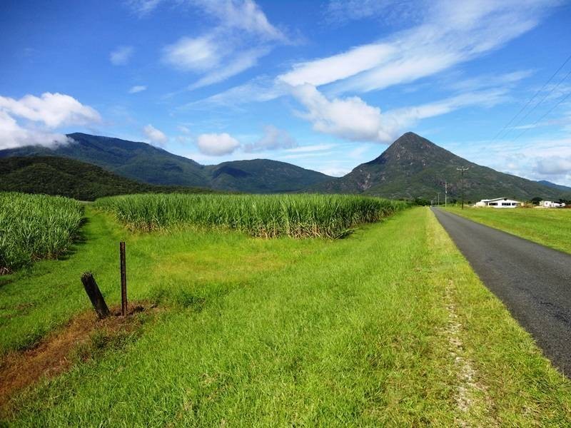 Moller Road, Aloomba QLD 4871
