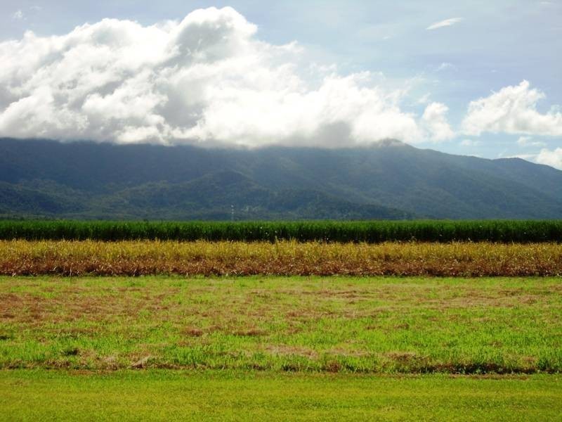 Moller Road, Aloomba QLD 4871