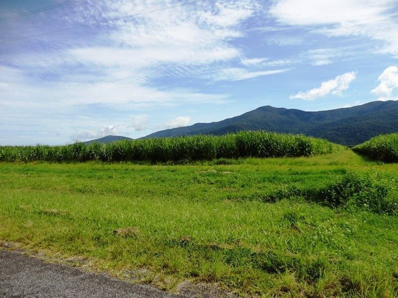 Moller Road, Aloomba QLD 4871