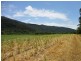 Aloomba QLD 4871