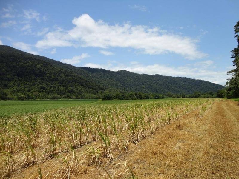 Aloomba QLD 4871