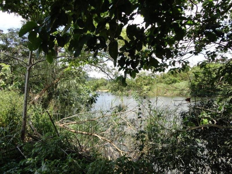 Aloomba QLD 4871