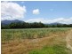 Aloomba QLD 4871