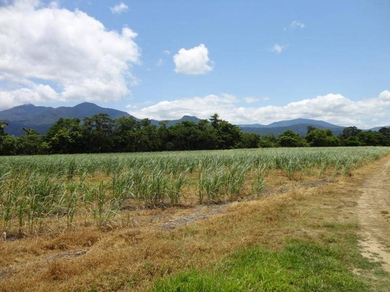Aloomba QLD 4871