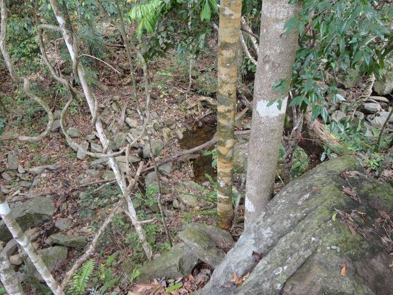 8 Julian Close, Mooroobool QLD 4870