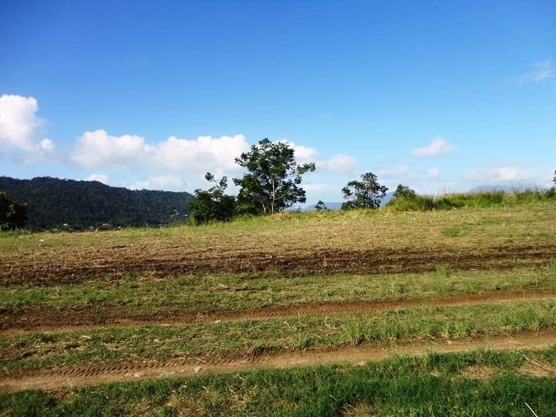 Lot 314, 58 The Peak, Brinsmead QLD 4870