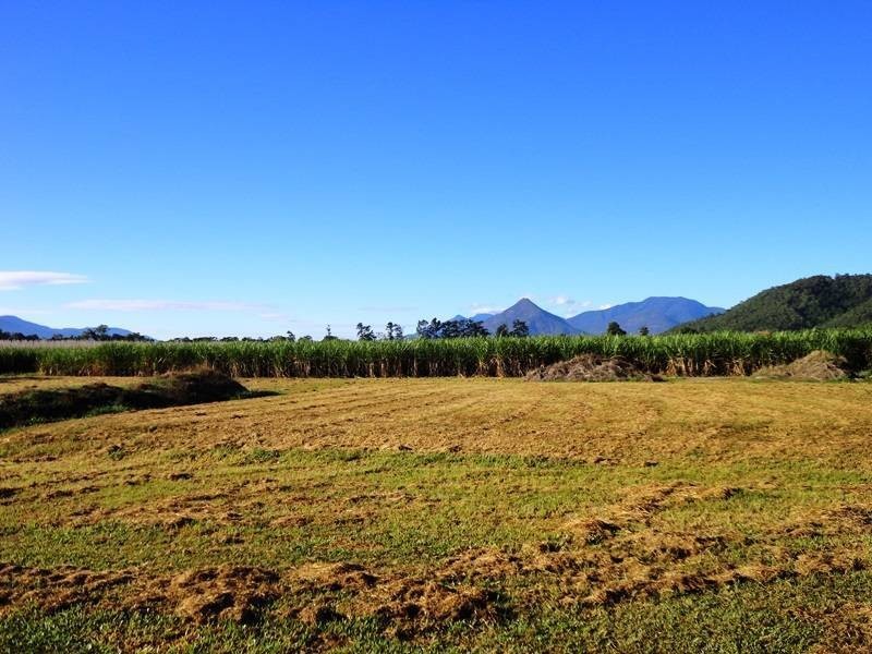 Deppeler Road, Edmonton QLD 4869