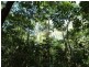 CAPTAIN COOK HIGHWAY, Clifton Beach QLD 4879