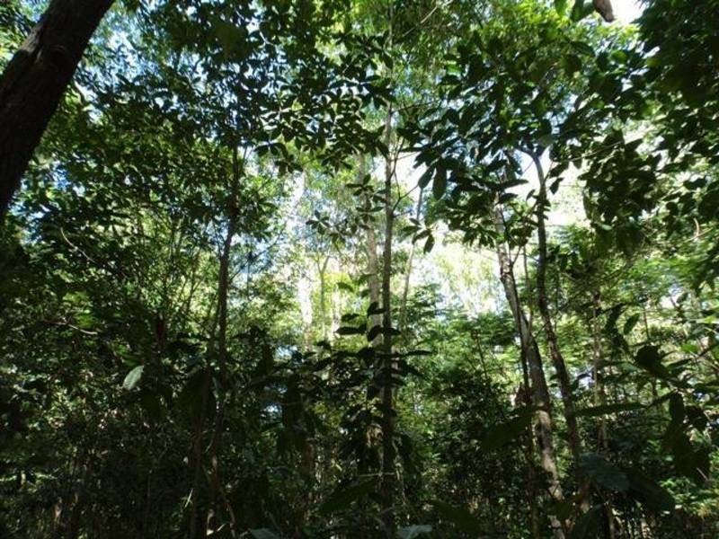 CAPTAIN COOK HIGHWAY, Clifton Beach QLD 4879