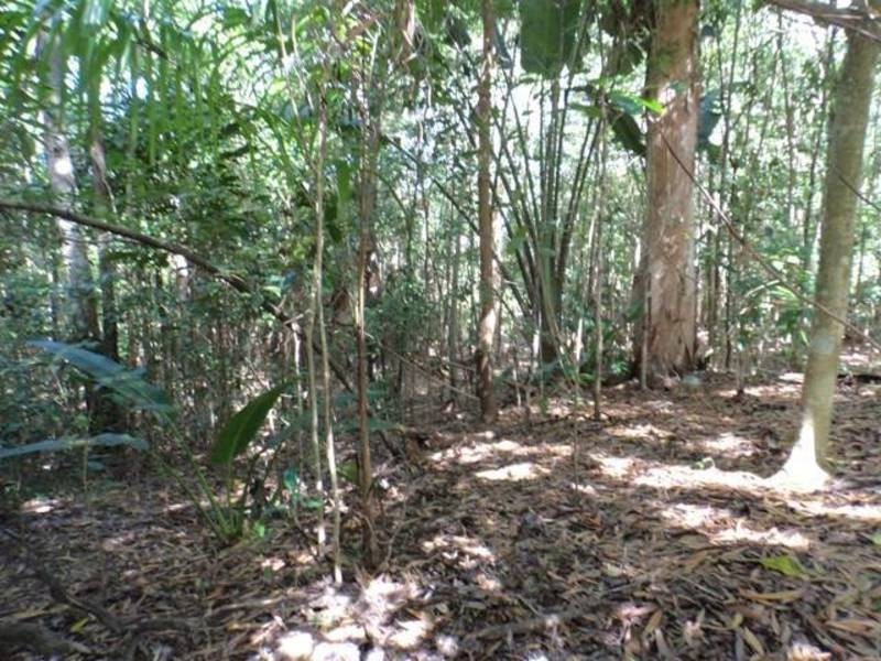 CAPTAIN COOK HIGHWAY, Clifton Beach QLD 4879