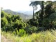 61 East Parkridge Drive, Brinsmead QLD 4870
