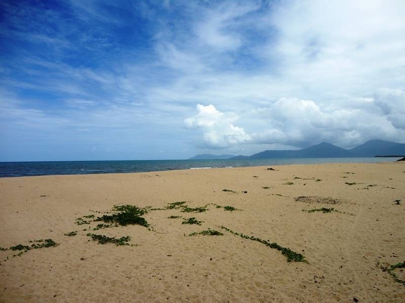 39 Tamarind Street, Holloways Beach QLD 4878