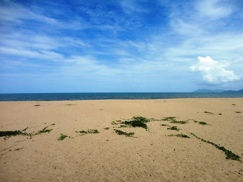 39 Tamarind Street, Holloways Beach QLD 4878