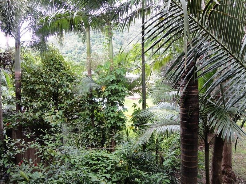 7/33 Kamerunga Road, Stratford QLD 4870