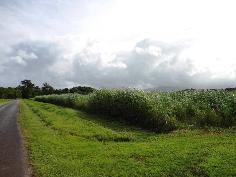 Lot 139, Hill Road, Edmonton QLD 4869