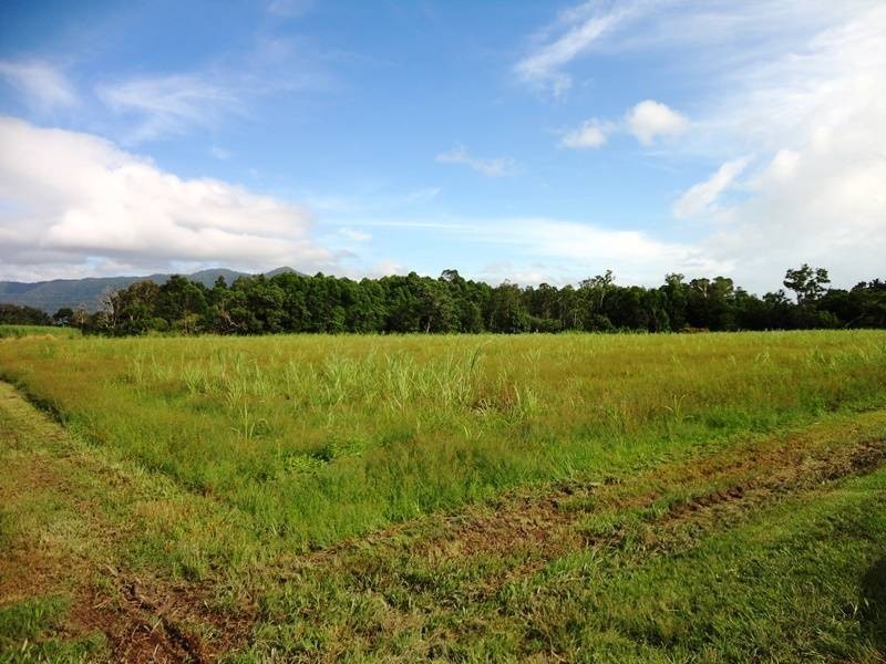 Lot 139, Hill Road, Edmonton QLD 4869