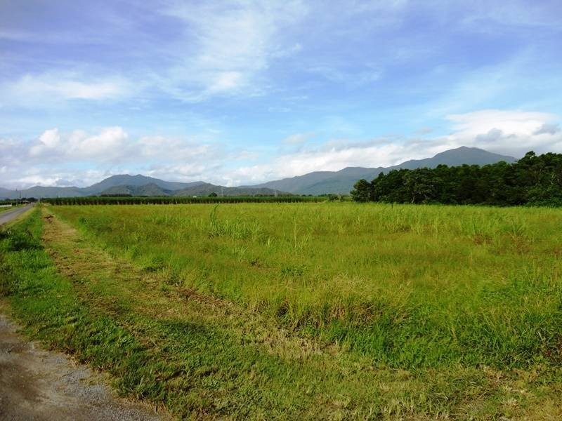 Lot 139, Hill Road, Edmonton QLD 4869