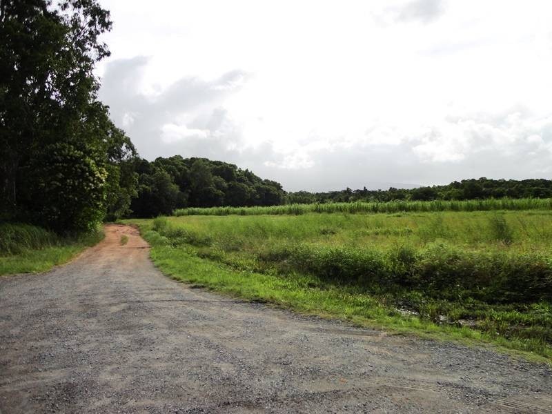Lot 139, Hill Road, Edmonton QLD 4869