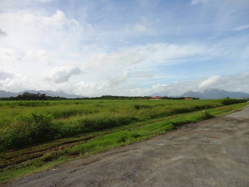 Lot 139, Hill Road, Edmonton QLD 4869