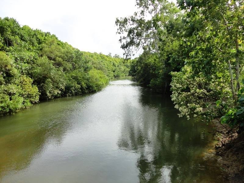 Lot 139, Hill Road, Edmonton QLD 4869